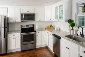Discovery Sample Cabinet Door Frost By Fabuwood Cabinetry - Tivoli Kitchen and Bathroom Design