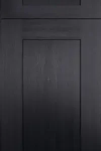 Blaze Black Shaker